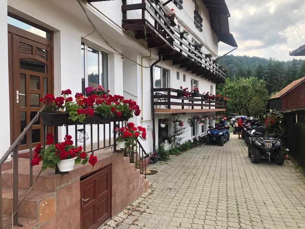 Pensiunea Maria Moieciu de Jos Exterior foto